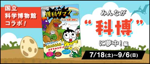 理科ダマン